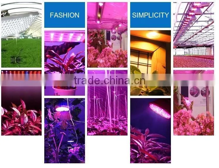Retail OEM Spectrum 300W Plant Grow Greenhouse Light