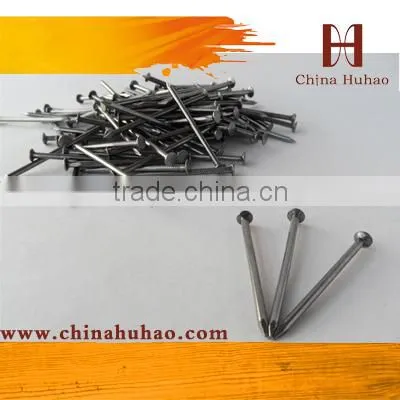 Tianjin factory Q235 Common Nail/Wire Nail/Iron Nail