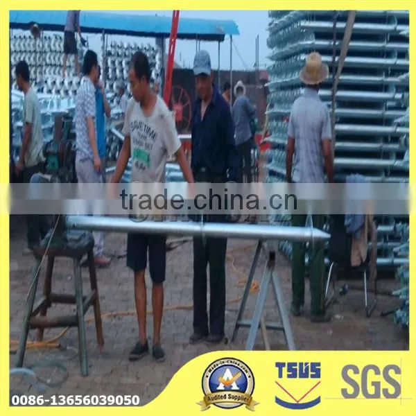 huanghua latest design hot-dip galvanized steel ground screw piles (professional manufacture)