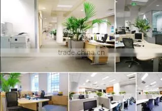 Guangzhou Chenglong Auto Oil Seal Co., Ltd. company overview - view 3
