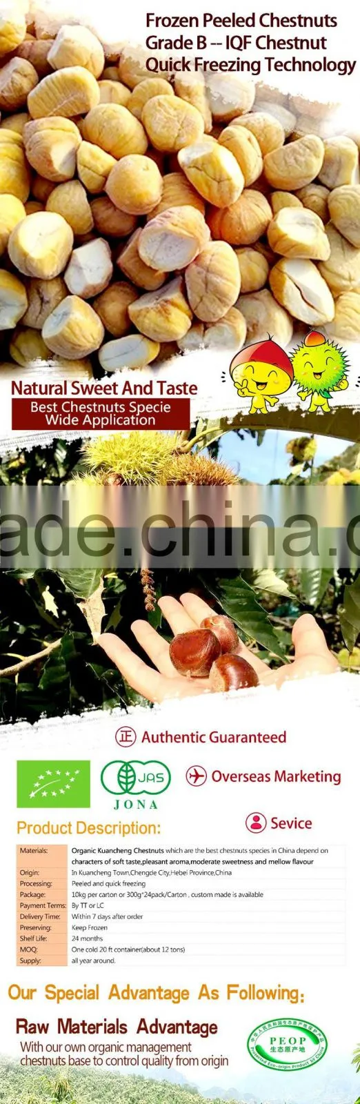 Hot sales IQF Chestnuts frozen chest nut