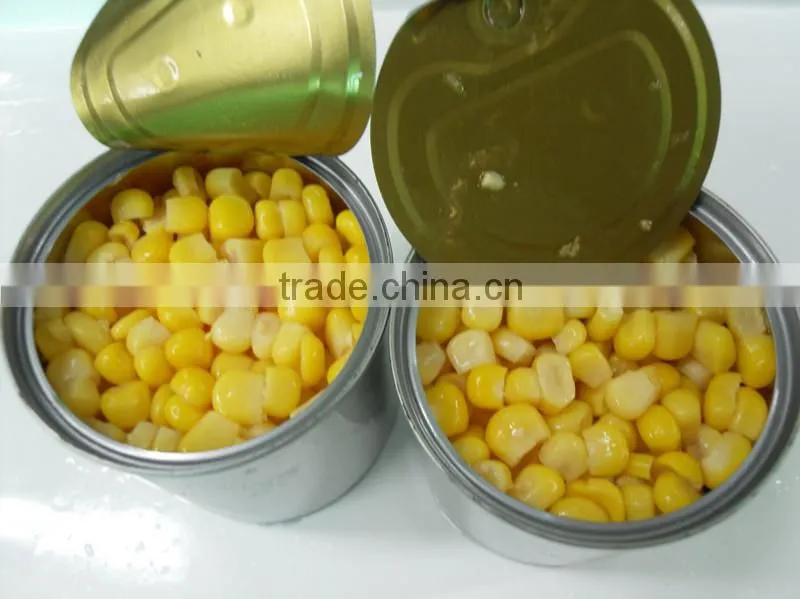 Cheap Canned Sweet Corn with Factory Canned Yellow Corn price