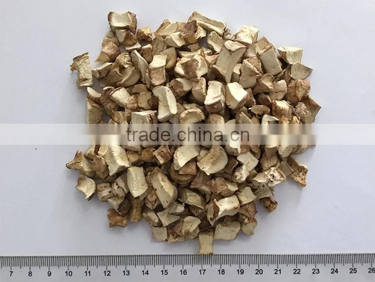 Dried oyster Mushroom spawn power price