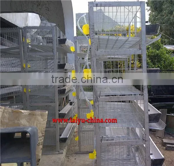 high quality Quail cage