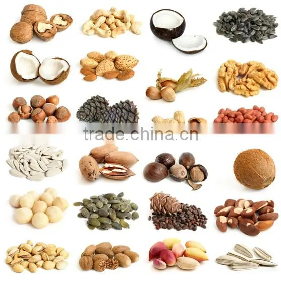 High Quality Siemens Motors for soybean oil making machine
