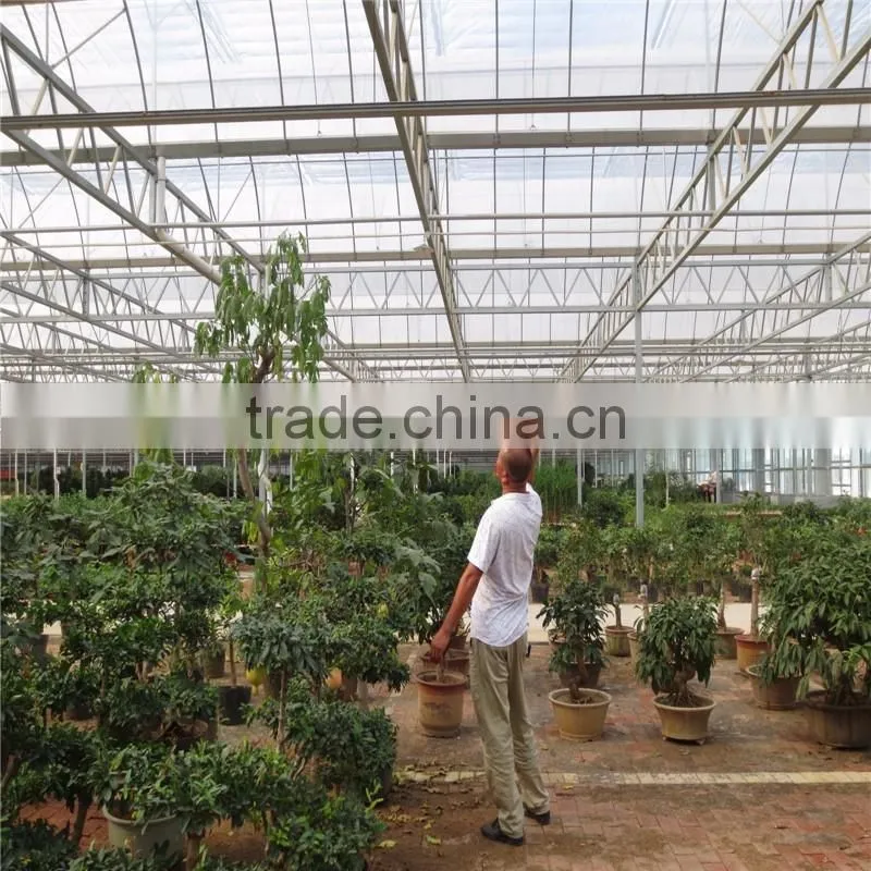 Multi Span Tunnel PE Plastic Film Hydroponic Systems Agricultural Greenhouse