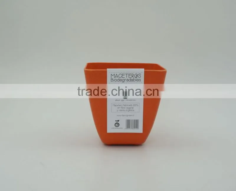 Biodegradable bamboo mini plant pot and flower pot