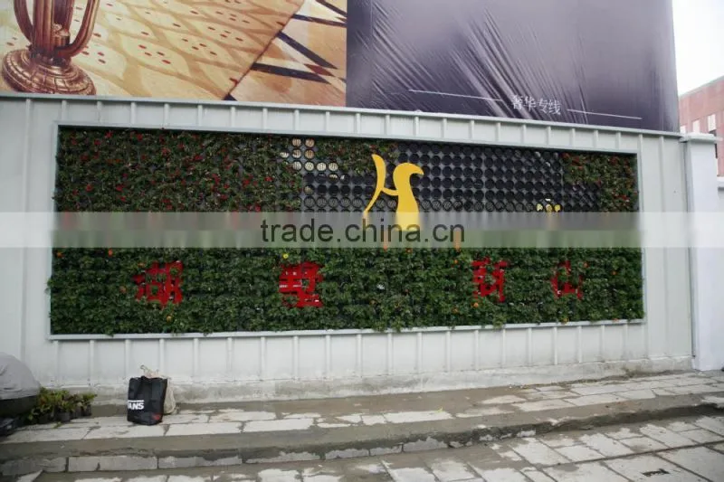 2016 new garden design hydroponic growing systems types of ornamental plants