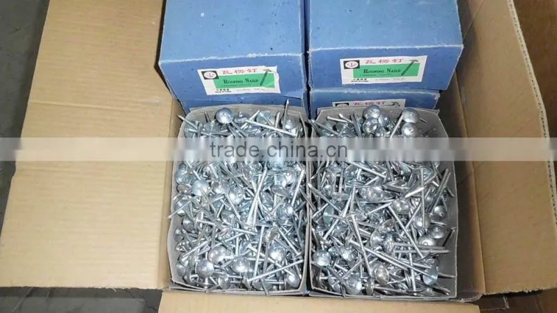 GALV.PLAIN SHANK ROOFING NAILS