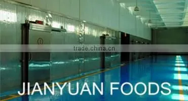 Chinese Instant Rice Vermicelli