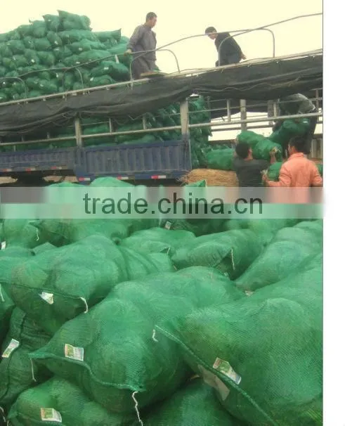 High quality pp leno mesh bag for cabbage,vegetable mesh bag ,mesh sack for vegetable