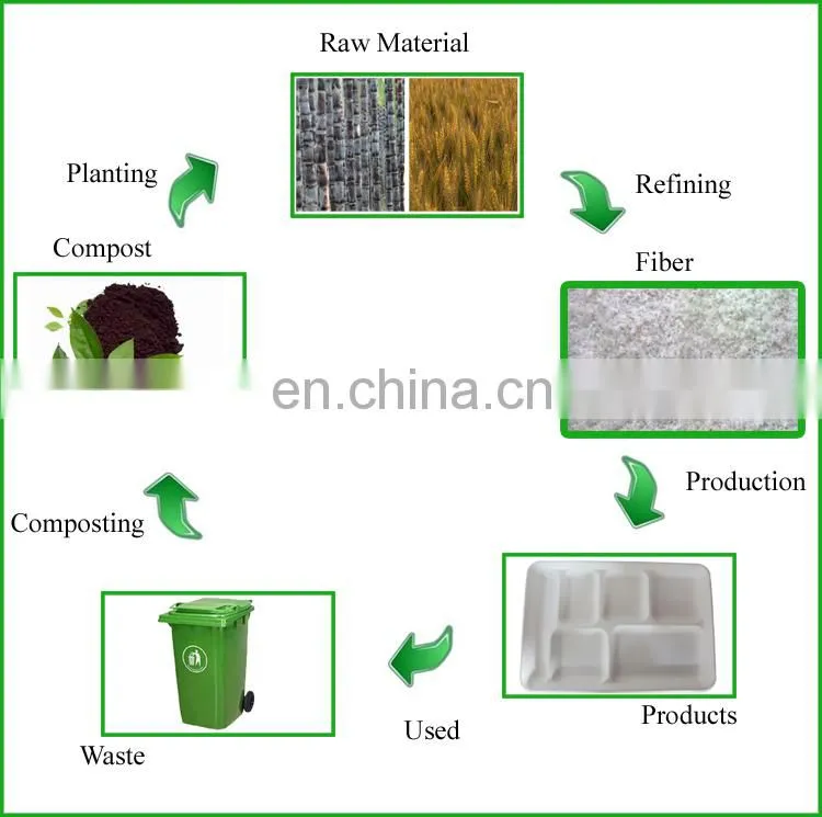 2015 Hot Diodegradable Eco-friendly Disposable Paper Lunch Box