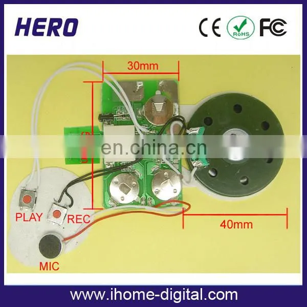 Voice module for gift box