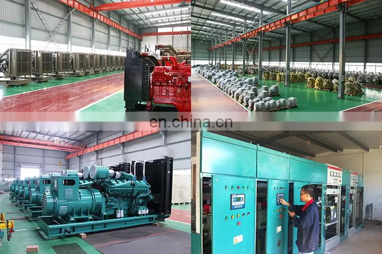 LSQ250G 1500rpm Standby Power 250kw Gas Generator
