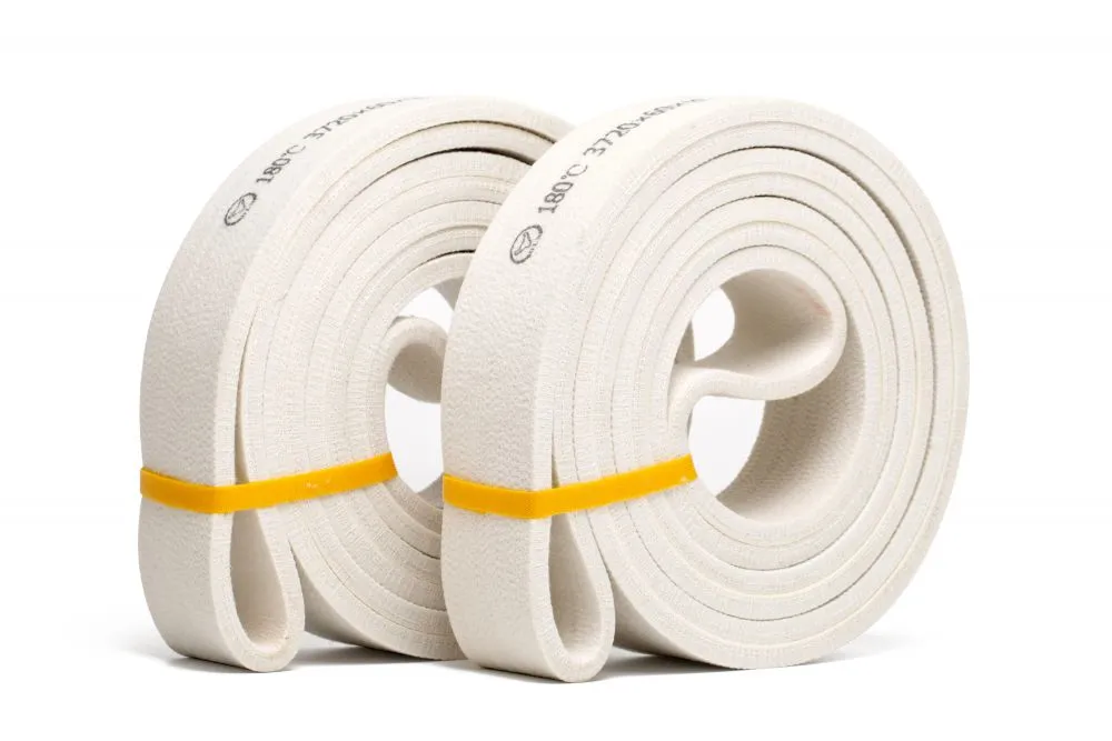 Polyester endless belt