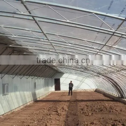 Cold Frame Greenhouse