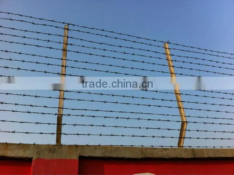 Barbed Wire/High Quality Galvanized Barbed Wire/PVC Coated Barbed Wire