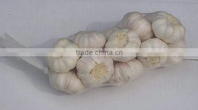 Crop 2011 Fresh White Garlic