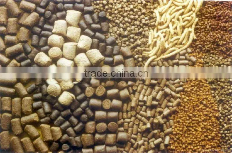 Multi-functional full automatically fish feed production line
