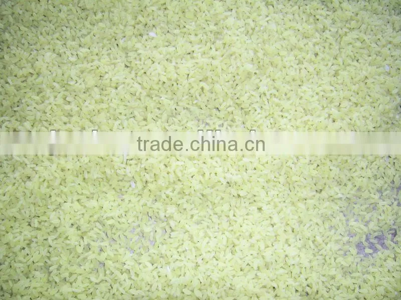 Artificial/Nutritional/Protein/Vitamin/Reinbforce rice machine