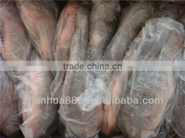 frozen seafood IQF tilapia fish whole round supply