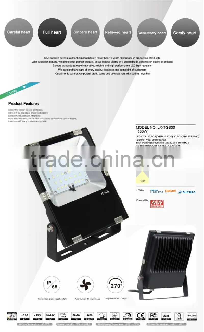 Promotional Price Meanwell Driver Free Lighting Design Shenzhen Factory 2016 CE Rohs Approved 30W LED Floodlight