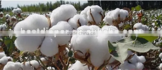 for new mama manufacture breast feeding nursing pads 100% original cotton wholesale
