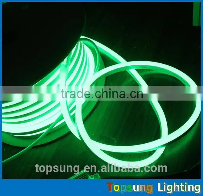 waterproof IP65 12v/24v led neon light with indoor and outdoor use