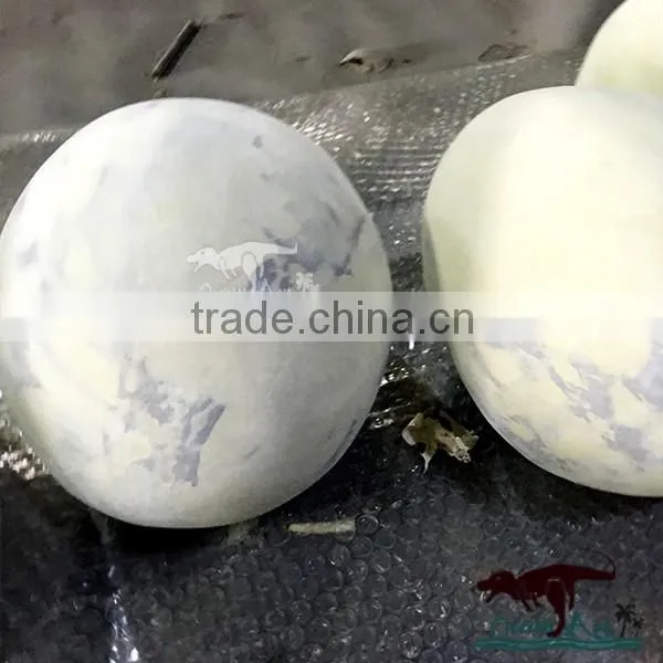 OA-DE-L31 Simulation Dinosaur Eggs Fossil for Sale