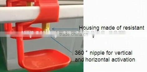 broiler chicken raising equipment