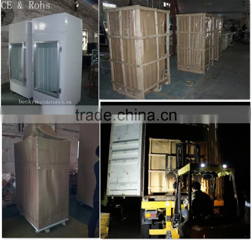 Single glass door upright ice merchandiser