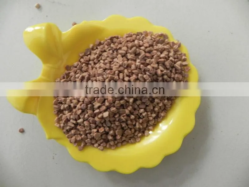 walnut shell/walnut shell powder with competitive price for water treatment