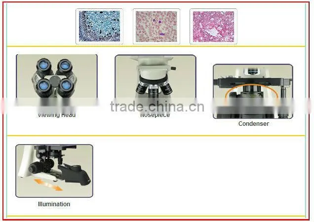 Biological Binocular Microscope with Human and Animal Cell Biology&Genetics Microscope Prepared Slides