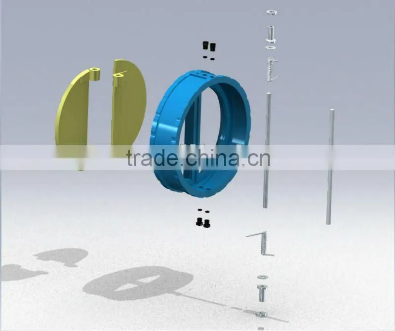 Dual Plate Disc Check Valve