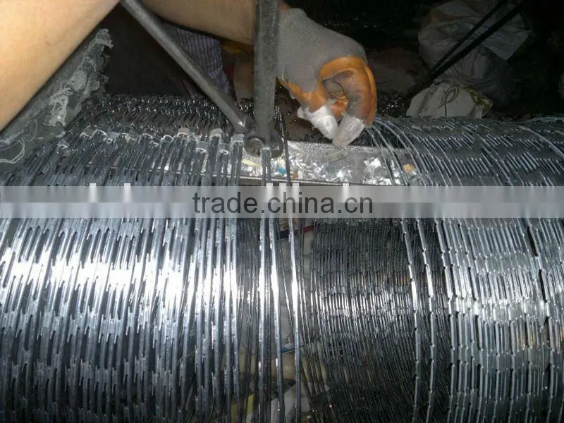 barbed concertina wire / razor sharp wire/ factory in China