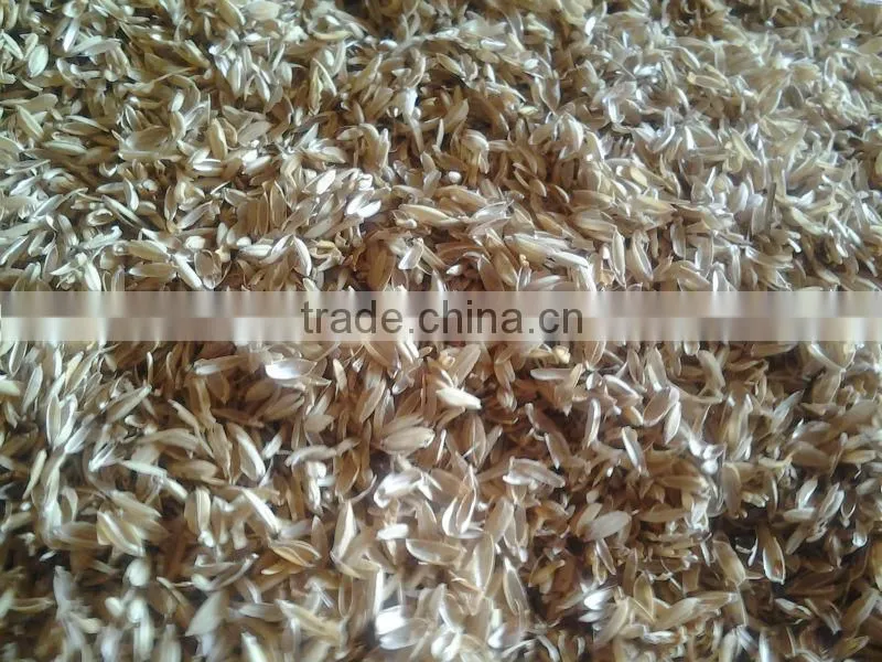 Rice Husk for Cattle Feeds