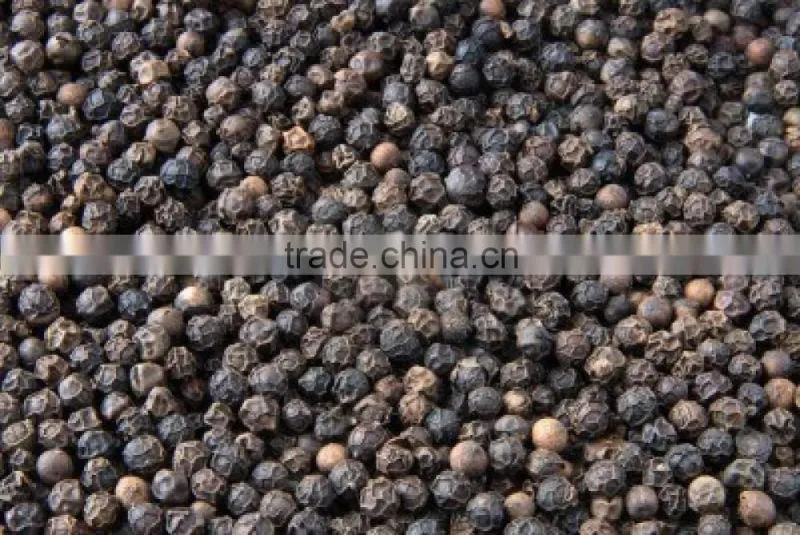 Best Sale 100% Natural High Quality Whole Black Pepper