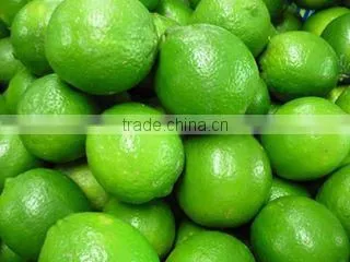 FRESH SEEDLESS LIME