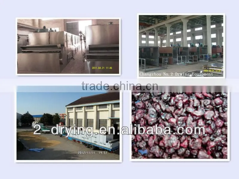 blue cherry drying machine