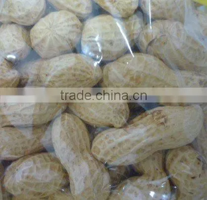 Roasted peanut in shell