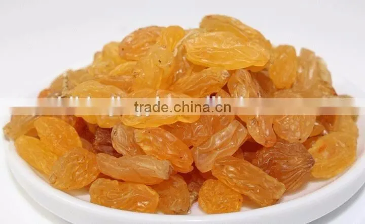 Chinese yellow raisins golden raisins