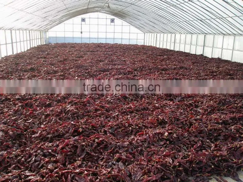 New crop sweet paprika smoked paprika