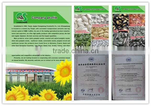 high quality black sunflower seeds 20/64,22/64, 24/64