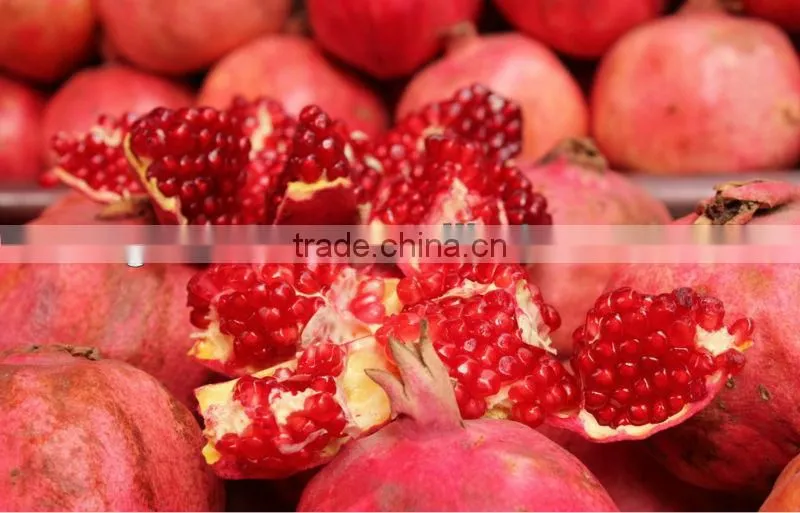 pomegranate extract ellagic acid