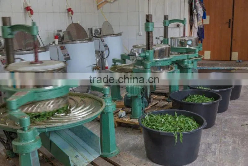 Original DELI tea roller,black tea leaf rolling machine
