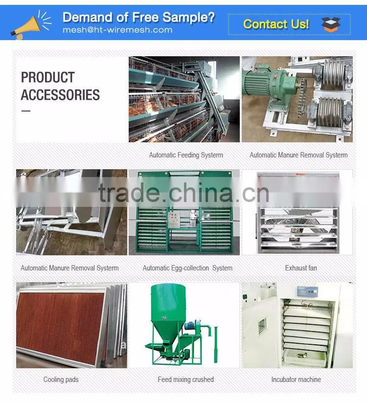 30 Years' factory supply automatic chicken nest