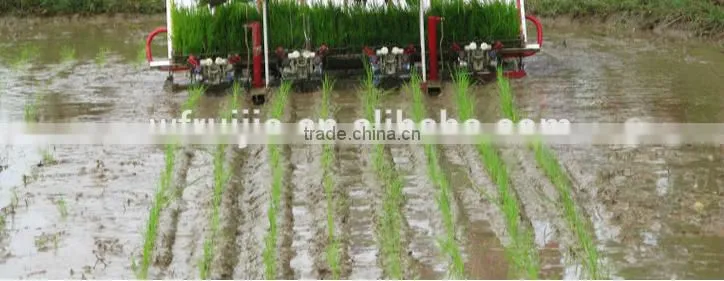 8 rows 238mm Electric Key start Rice Transplanter with hydraulic device and cheaper rice transplanter price