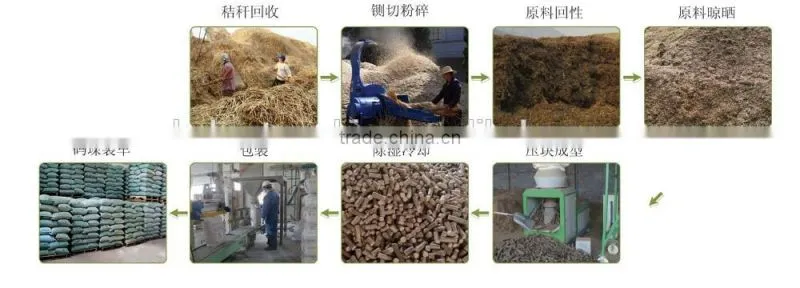 2016 BSM supply good quality briquette machine