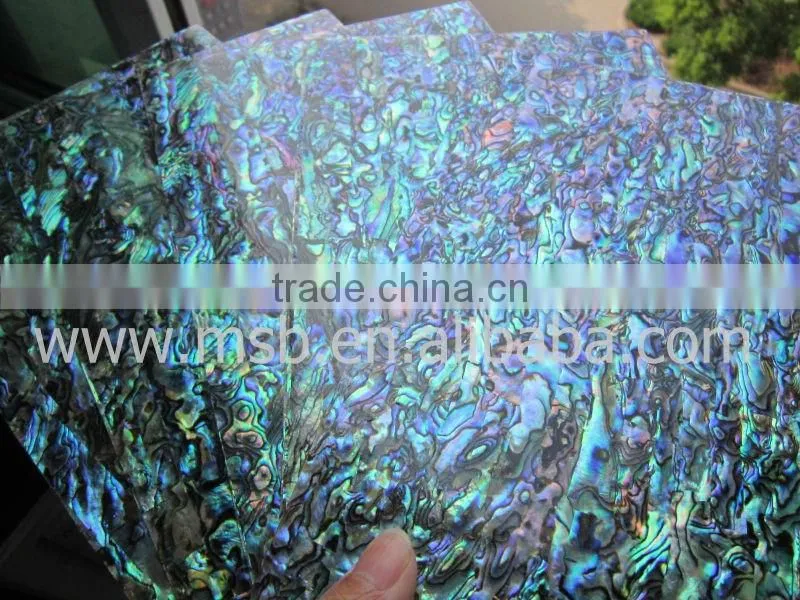 Natural abalone paua shell nail art shell paper