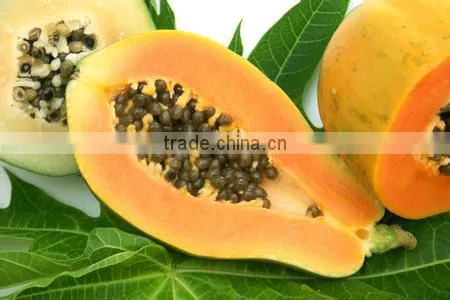 Papaya/pawpaw Multiple layer continuous type mesh belt dryer